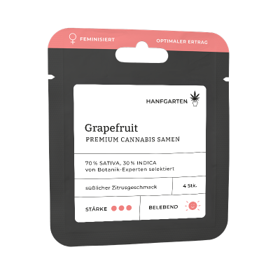 Grapefruit | Feminisiert Vorderseite