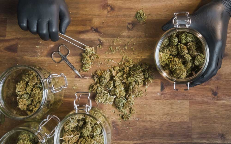 Správné skladování konopí: Tipy pro maximální trvanlivost a kvalitu