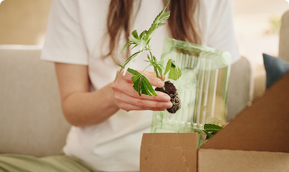 Spezialverpackung f&uuml;r Pflanzen