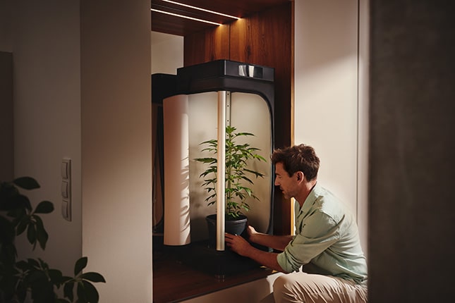 Postav si vlastní growbox