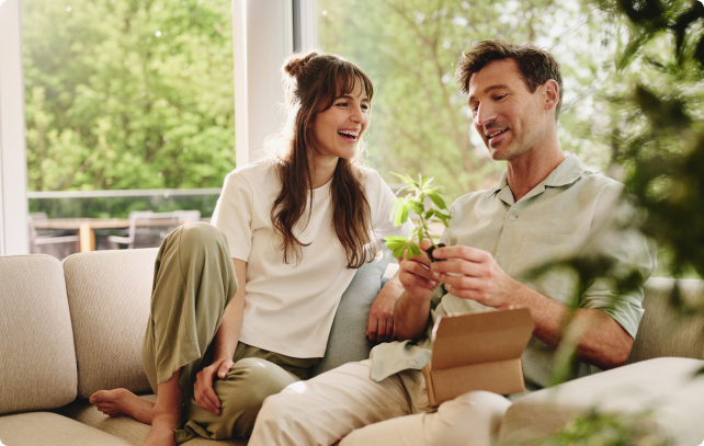 Cannabis Stecklinge von Hanfgarten
