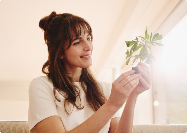 Hanfgarten Erfolgsgarantie