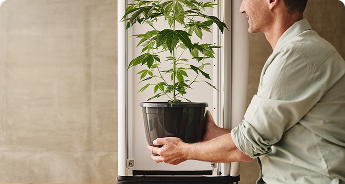 Growbox Komplettsets 